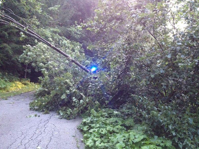FOTO: PGD Radlje ob Dravi