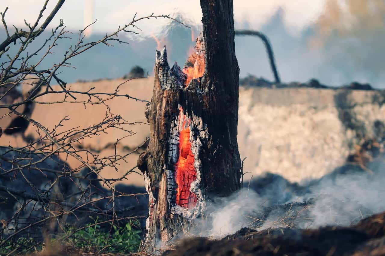 požar drevo pixabay