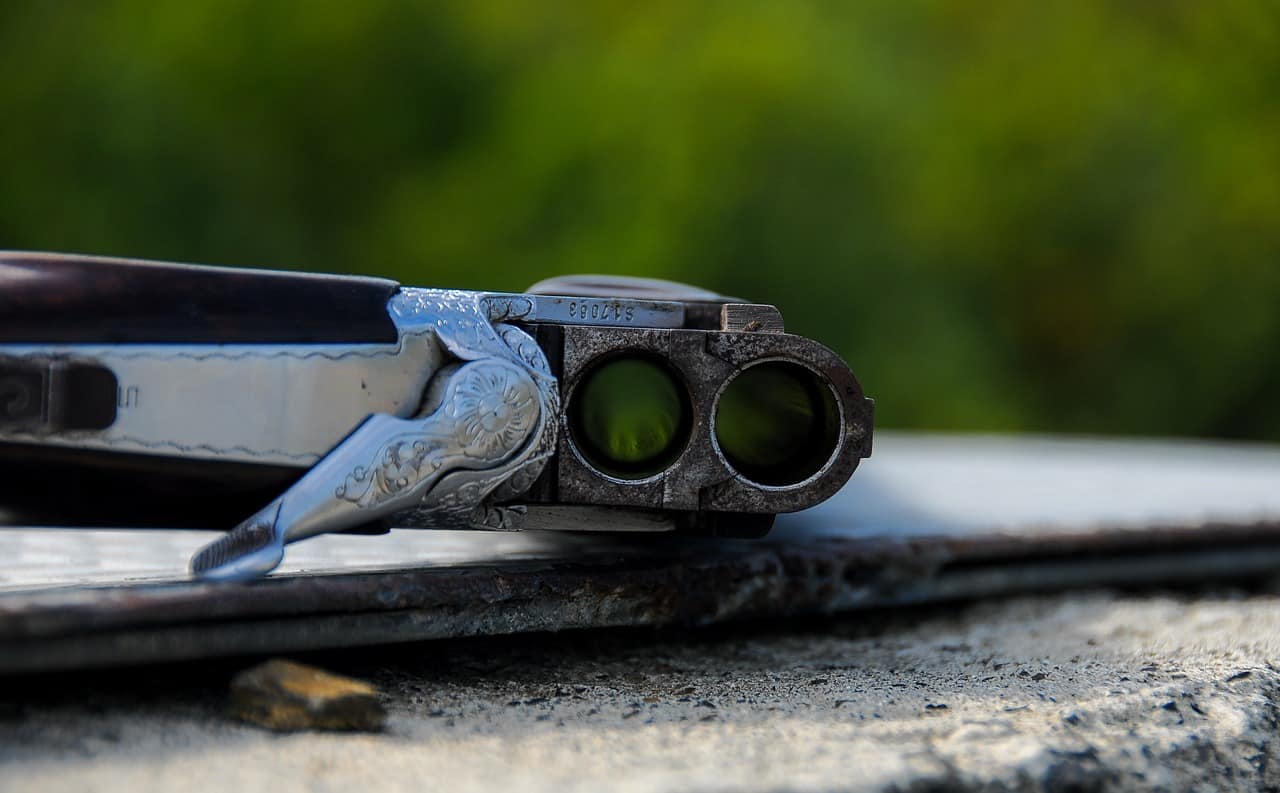 lovska puška Pixabay