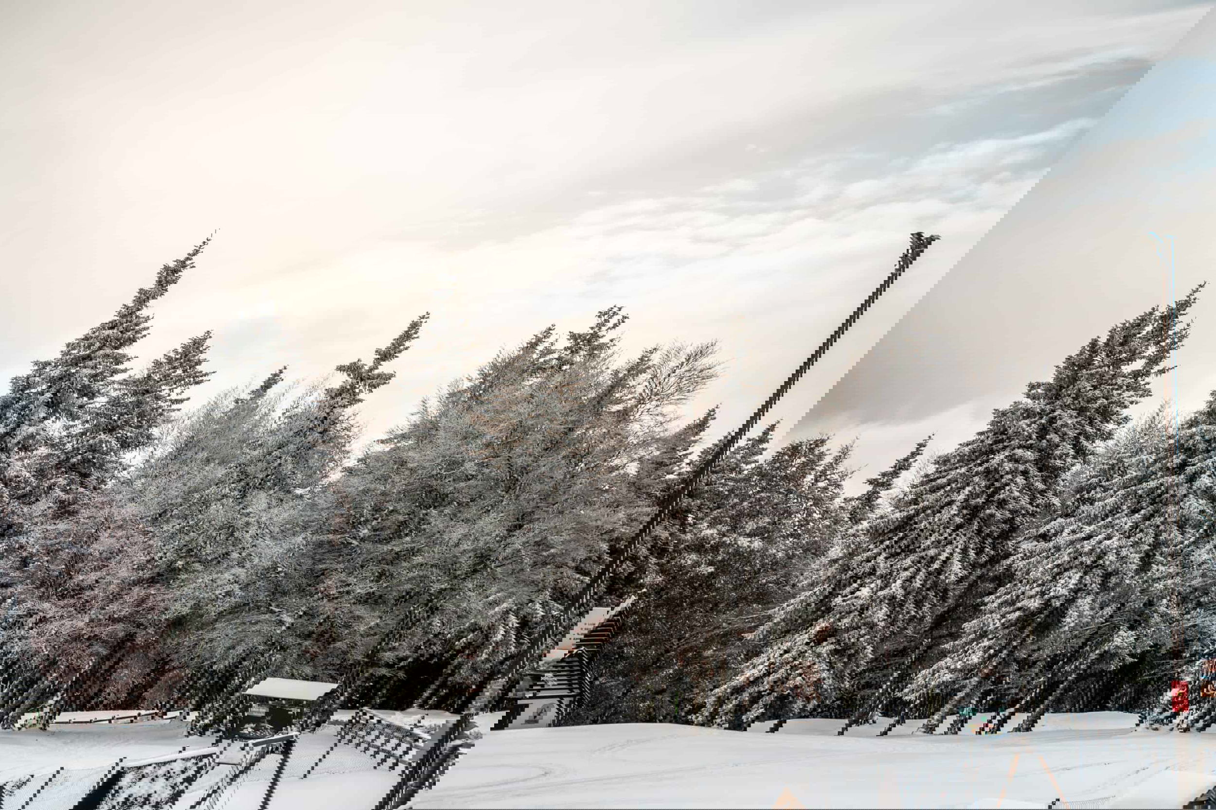 kope zima sneg smučanje drevesa vreme, knmedia kope zima sneg smučanje drevesa vreme, knmedia