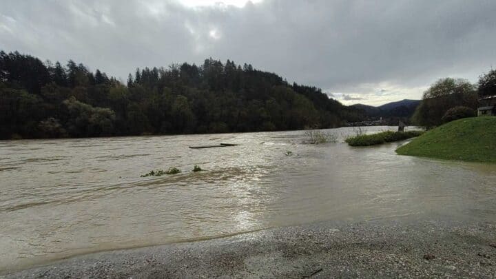 Narasla Drava na Muti, FOTO: Jani Morina