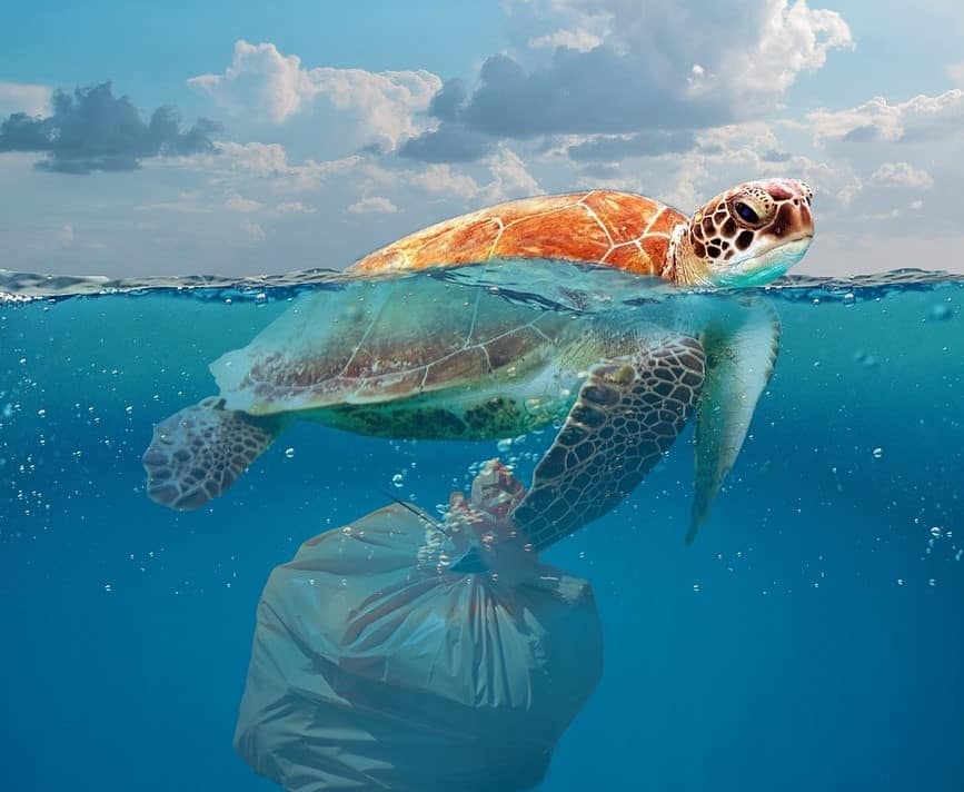 plastika v morju