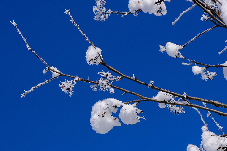 sonce sneg zima jasno pixabay