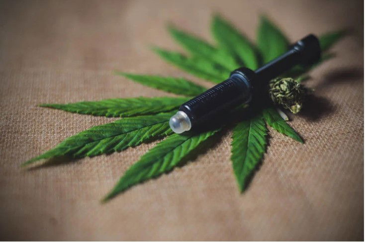 cbd konoplja