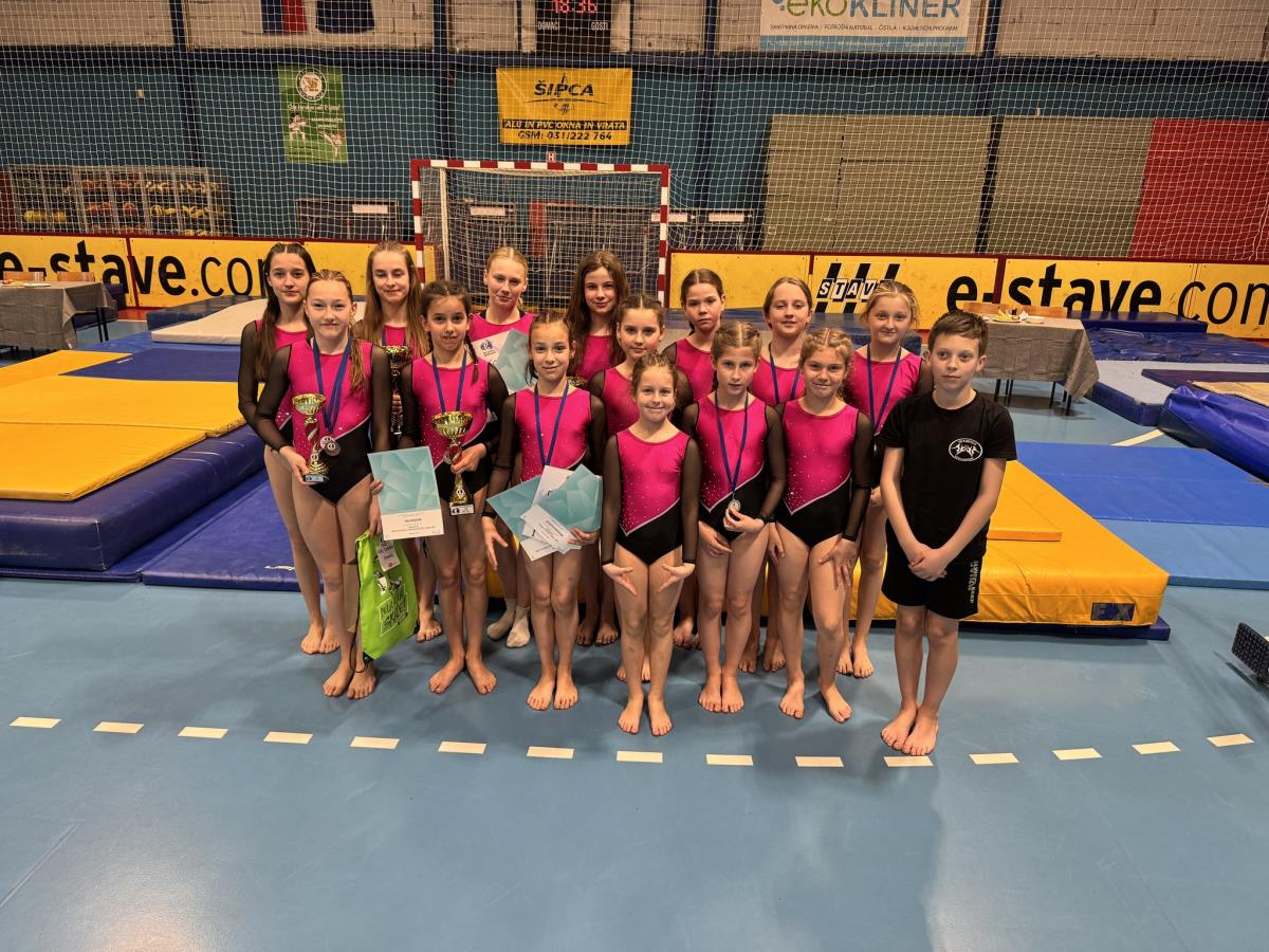 gimnastika