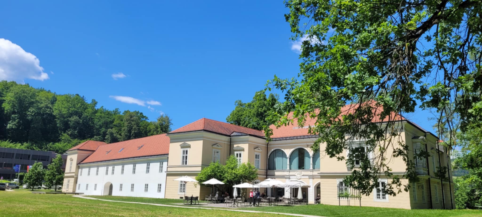 ravenska knjižnica franca serušnika