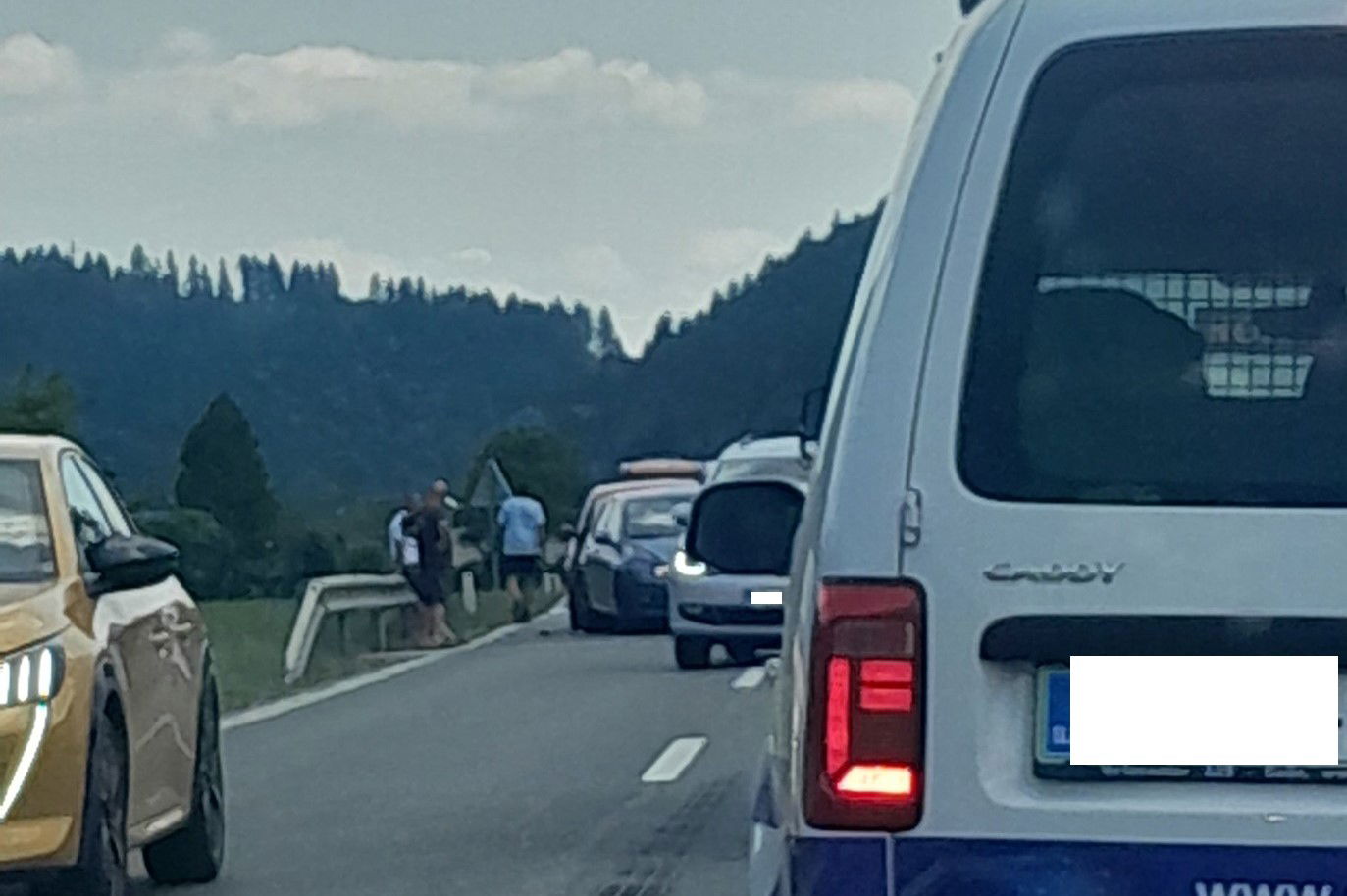 Matic Cesar, FB Policijske kontrole na Koroškem