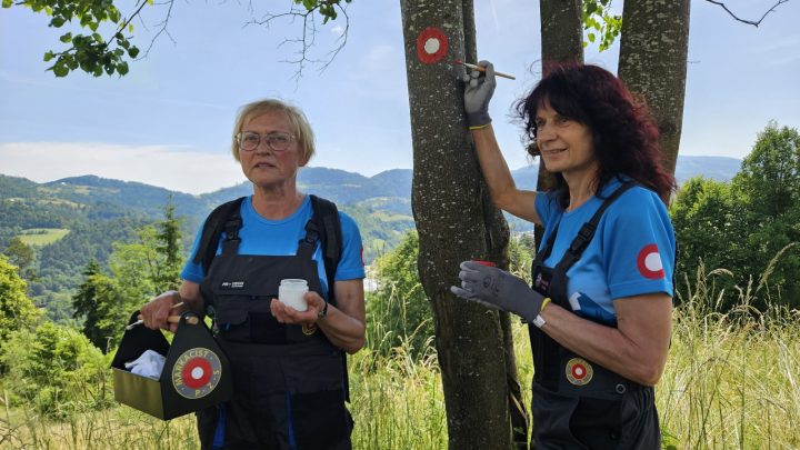 Vesna Pušnik Brezovnik STA