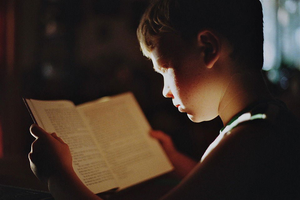 deček branje poezija knjiga Pixabay deček branje poezija knjiga Pixabay