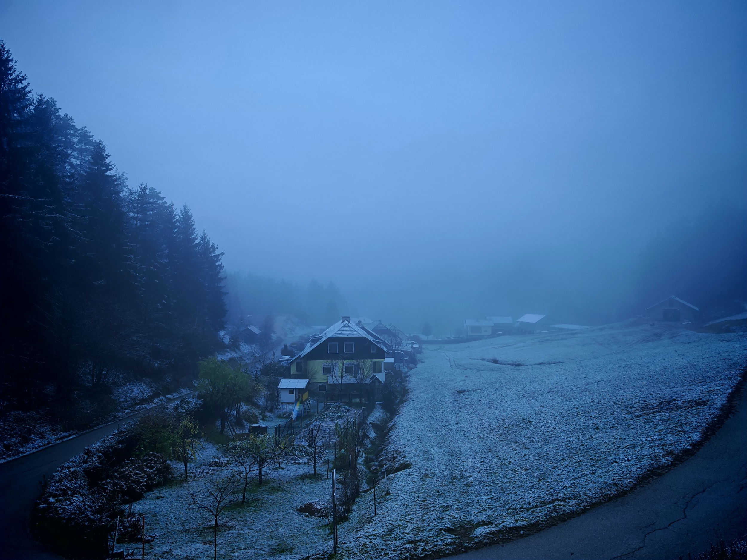 1000012131 1000012131