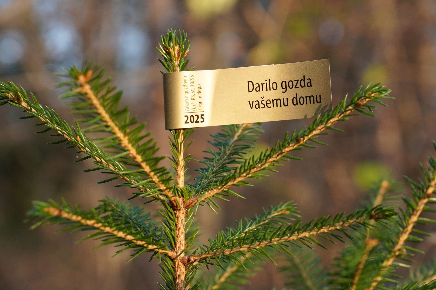 Okrasna drevesca, ki so zrasla v Sloveniji in so domacih gozdnih vrst so letos opremljena z nalepko zlate barve.