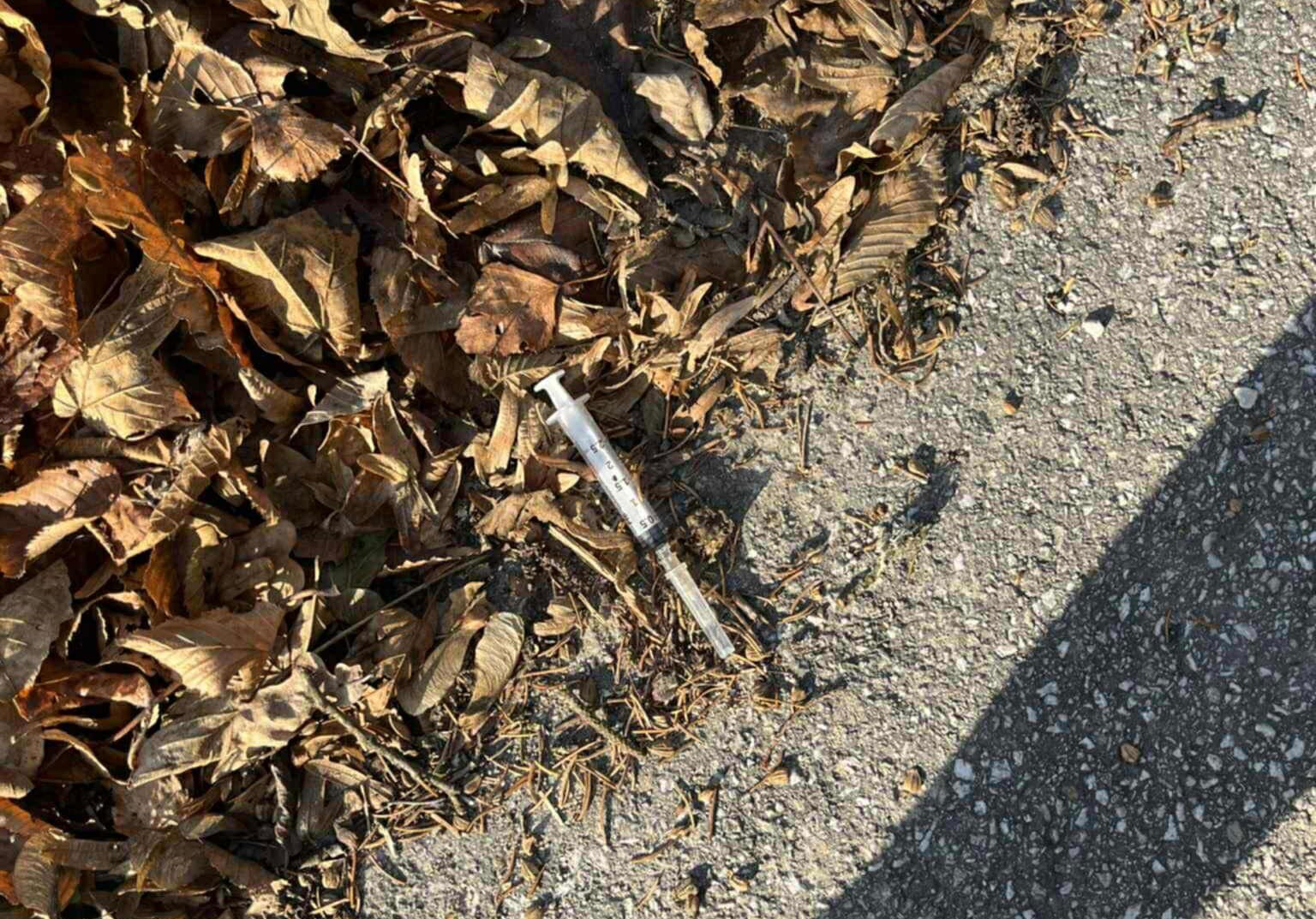 581675302_4304017119918416_94105771082192799_n