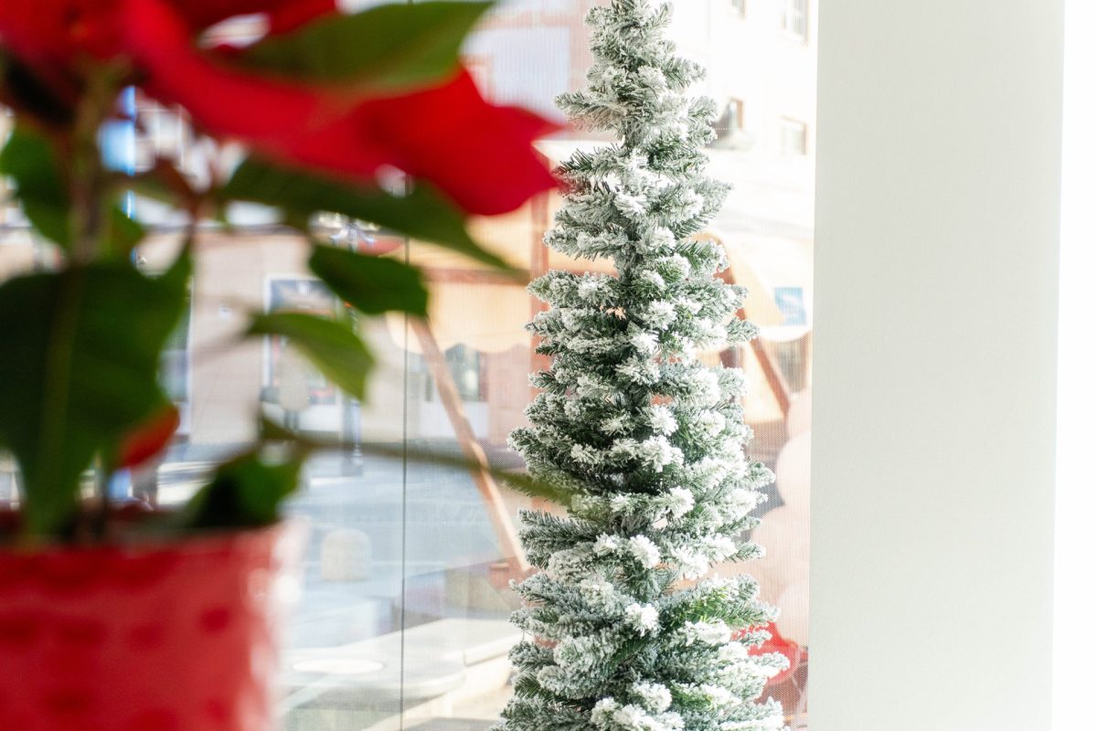 Otvoritev nove poslovalnice A1 v Slovenj Gradcu