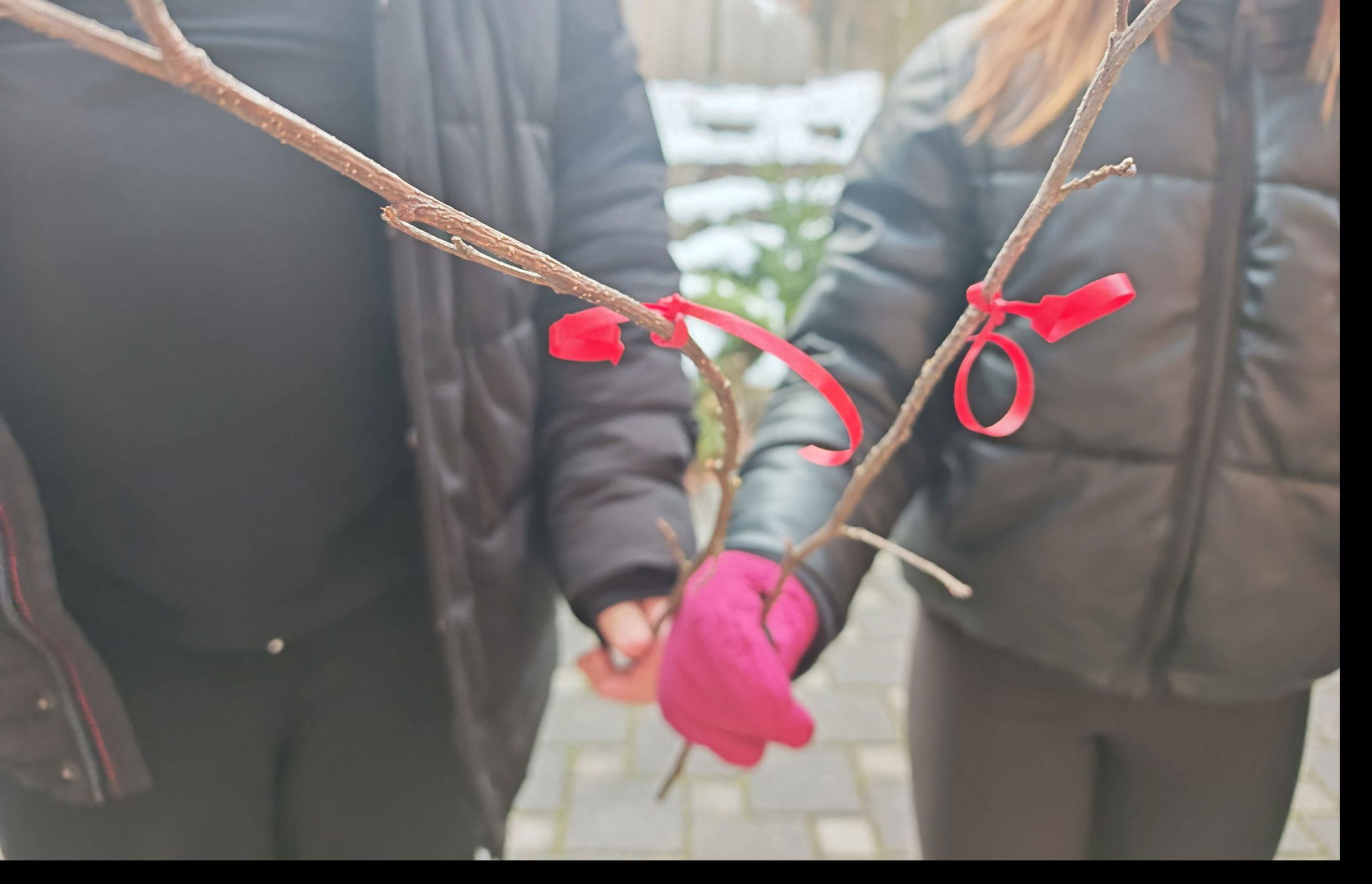tepežka tepežni dan tepežnica knmedia