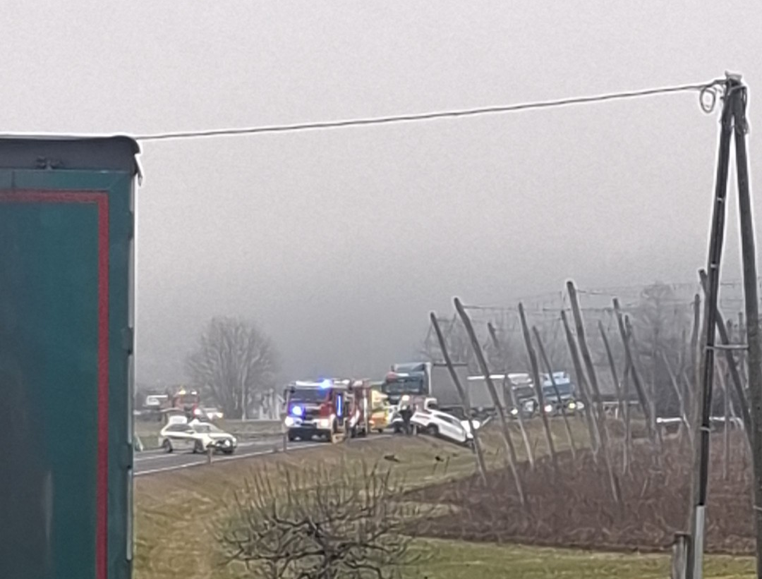 597406025_1227295719275068_6279500905704331289_n 597406025_1227295719275068_6279500905704331289_n