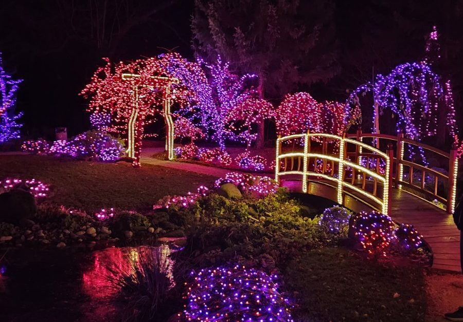 viber_image_2025-11-14_18-08-11-412